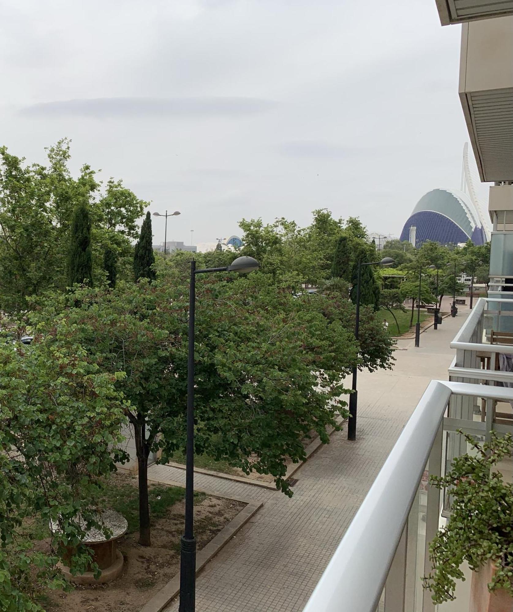 Art And Sciences View Luxury Apartment Valencia Exterior foto